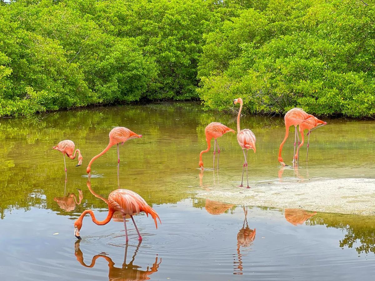 Hotel Isla Palma Reserva Natural מראה חיצוני תמונה